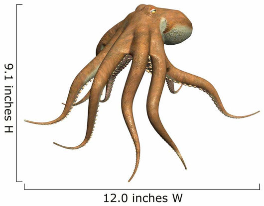Octopus Wall Decal Design 3