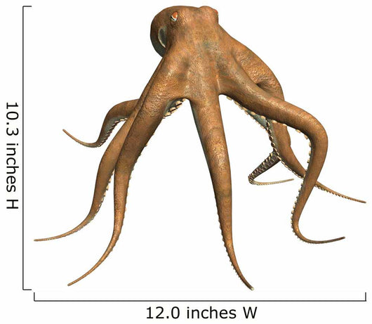 Octopus Wall Decal Design 1