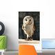 Owl Wall Decal Design 2