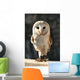 Owl Wall Decal Design 2
