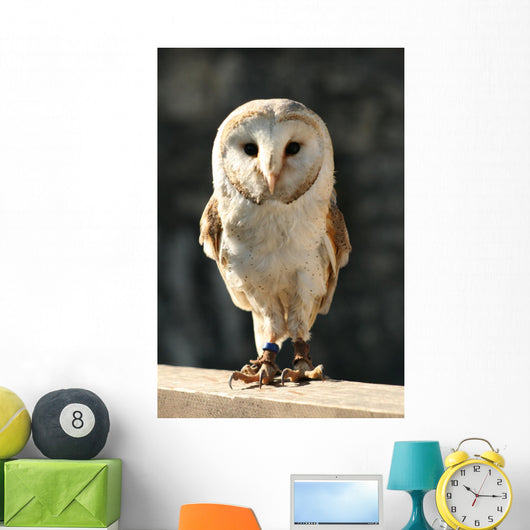 Owl Wall Decal Design 2