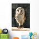 Owl Wall Decal Design 2
