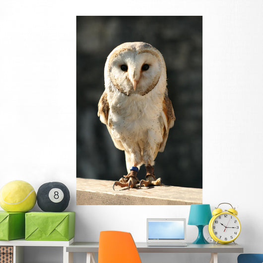 Owl Wall Decal Design 2
