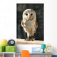 Owl Wall Decal Design 2