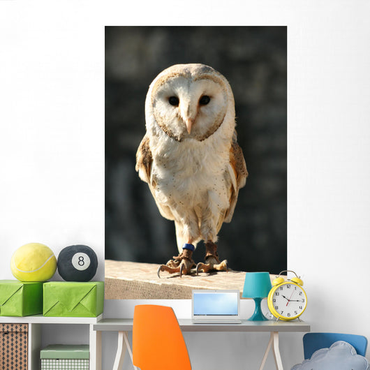 Owl Wall Decal Design 2