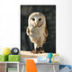 Owl Wall Decal Design 2