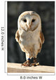 Owl Wall Decal Design 2