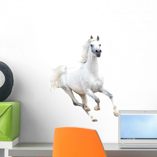 White Arabian Horse White Wall Decal
