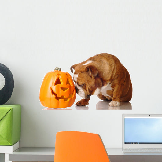 English Bulldog with Festive Wall Decal