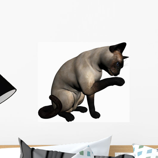 Siamese Cat over White Wall Decal