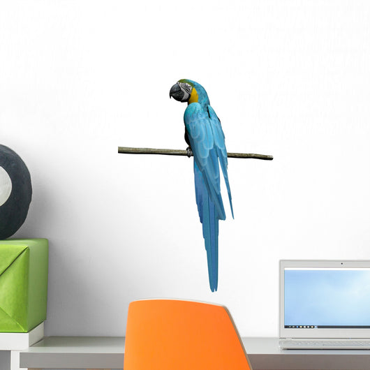 Macaw Parrot over White Wall Decal Design 1