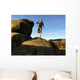 Fell Runner Mountain Trail Wall Decal