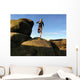 Fell Runner Mountain Trail Wall Decal