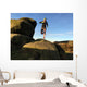 Fell Runner Mountain Trail Wall Decal