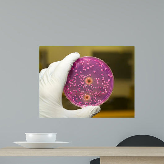 Yeast and Molds Wall Decal
