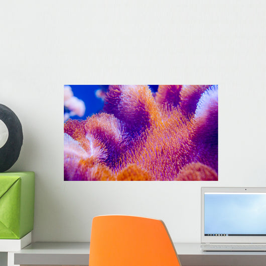 Coral Deep Blue Sea Wall Decal
