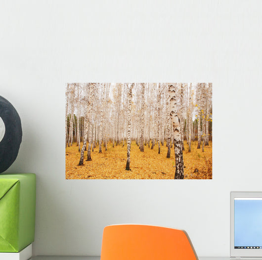 Autumn Birchwood October Wall Decal