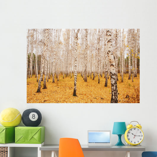 Autumn Birchwood October Wall Decal