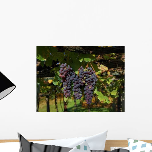 Black Grape Bunch Wall Decal