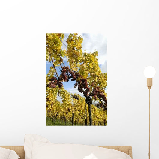 Vineyard D 39 Alsace Wall Decal