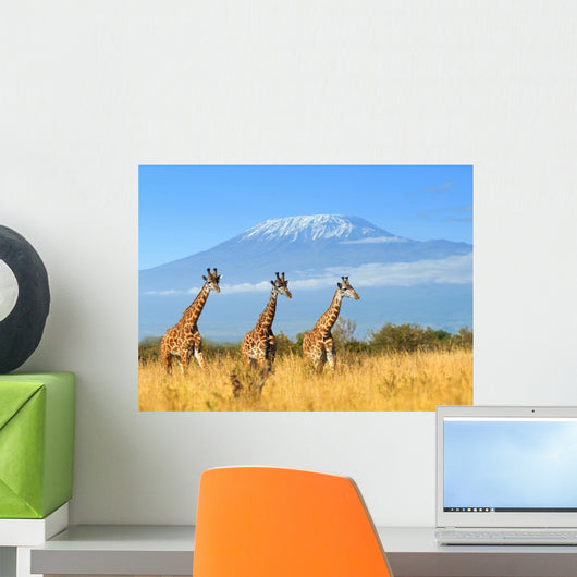 Giraffe National Park Kenya Wall Decal