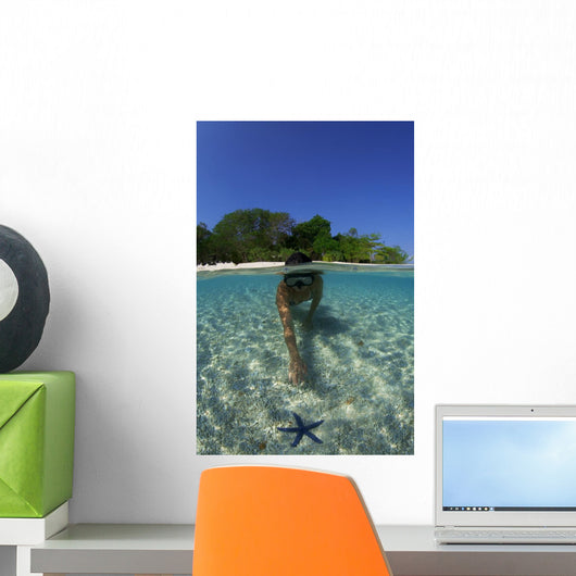 Snorkeler Exploring Starfish Lagoon Wall Decal
