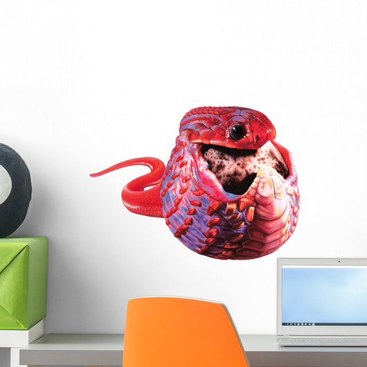 African Egg-Eating Snake Wall Decal