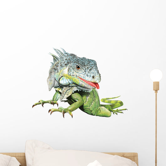 Green Iguana Reptile Wall Decal