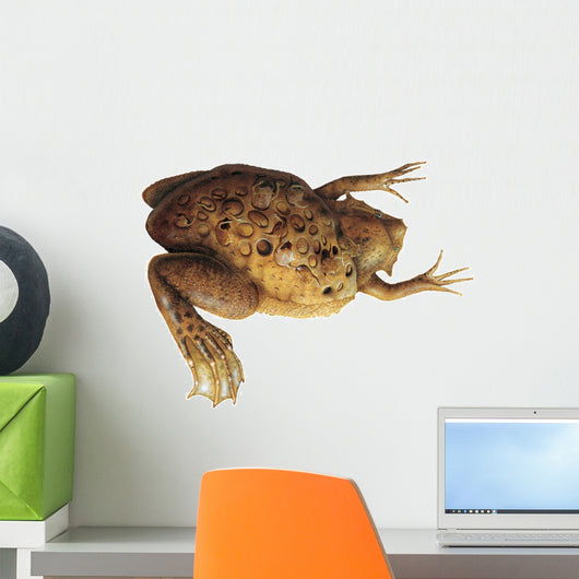 Pipa Toad Wall Decal