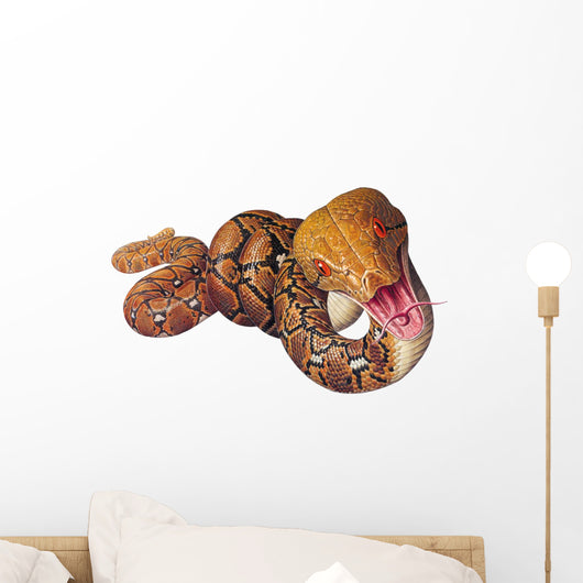 Reticulated Python Snake Wall Decal
