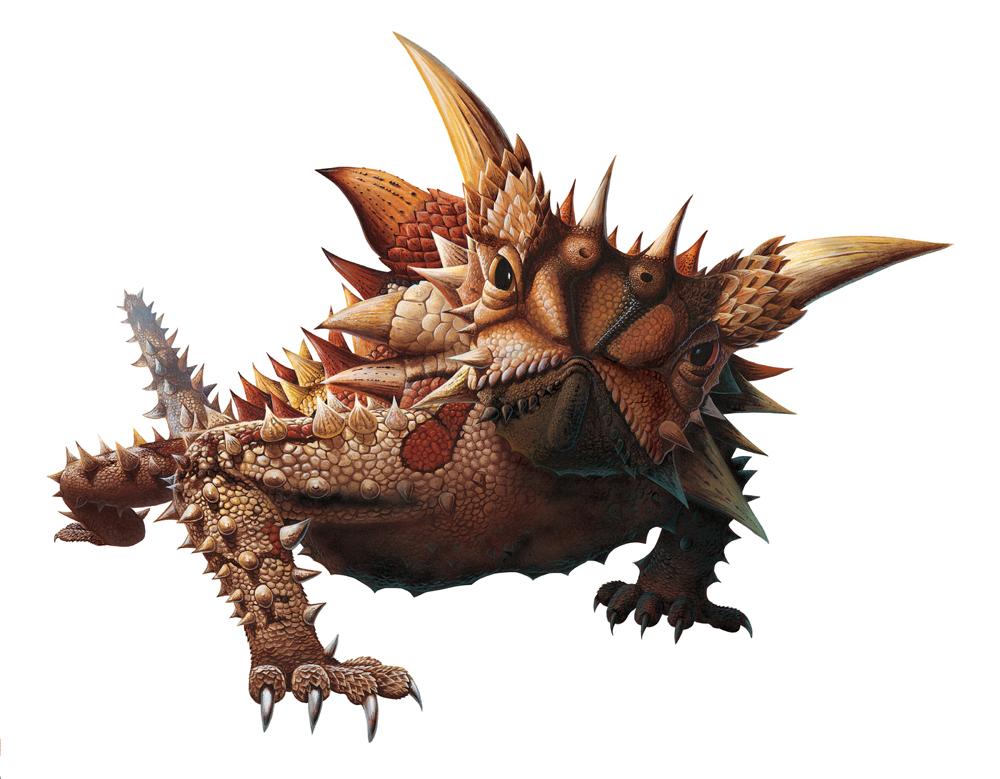 もにまるず AYAMO DEVIL moni moni ANIMALS Thorny Devil Lizard Wall Decal – Wallmonkeys