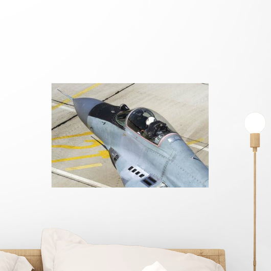 Top Cockpit Bulgarian Air Wall Decal