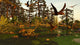 Eudimorphodon and Peteinosaurus Pterosaurs Wall Decal
