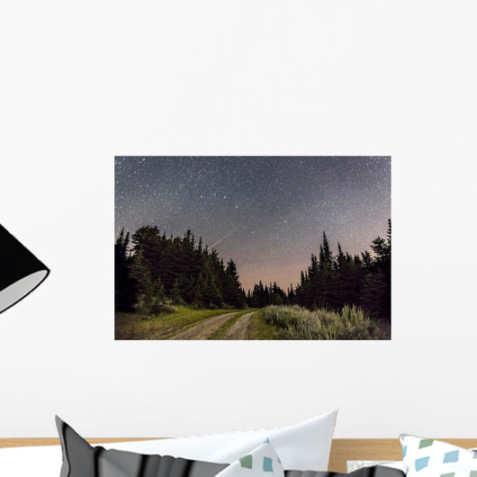 Meteor and Big Dipper Wall Decal