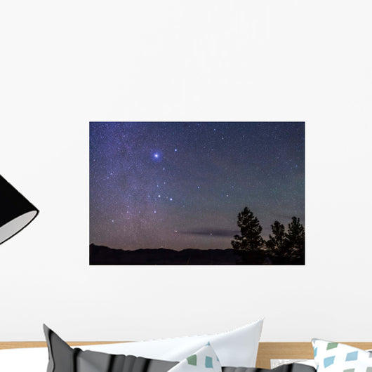Sirius Canis Major Rising Wall Decal