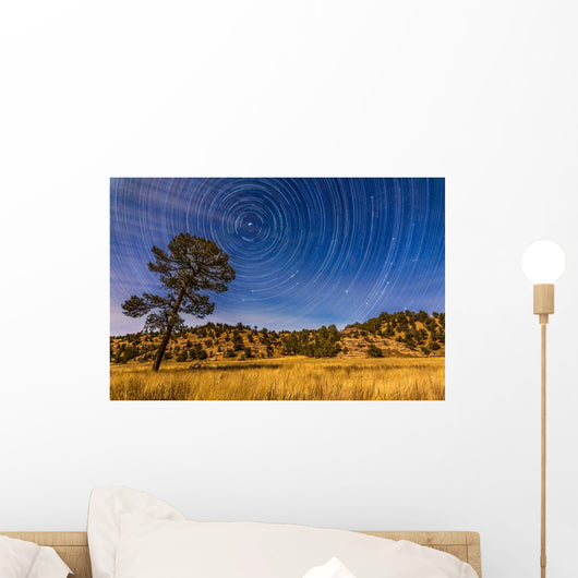 Circumpolar Star Trails over Wall Decal Design 2