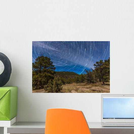 Circumpolar Star Trails over Wall Decal Design 1