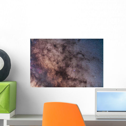Dark Horse and Snake Wall Decal Design 2