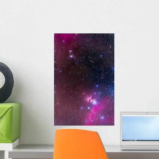 Messier 78 Horsehead Nebula Wall Decal