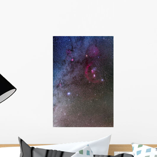 Orion and Canis Major Wall Decal Design 2