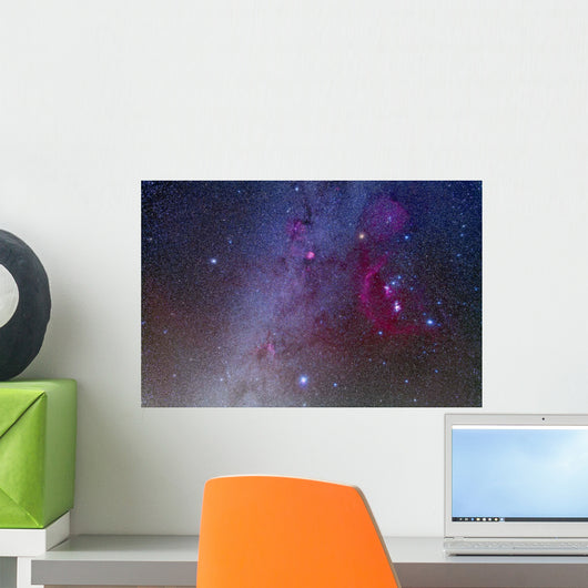 Orion and Canis Major Wall Decal Design 1