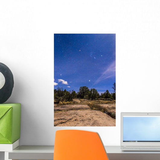 Orion and Sirius Rising Wall Decal
