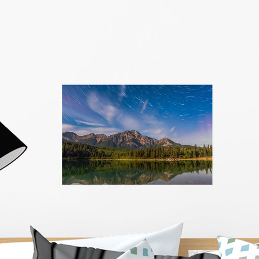 Star Trails over Patricia Wall Decal