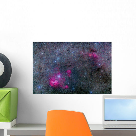 Pearl Cluster and Lambda Wall Decal