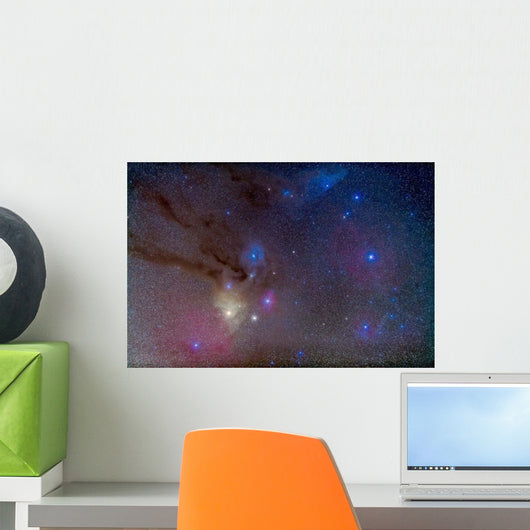 Area around Head Scorpius Wall Decal
