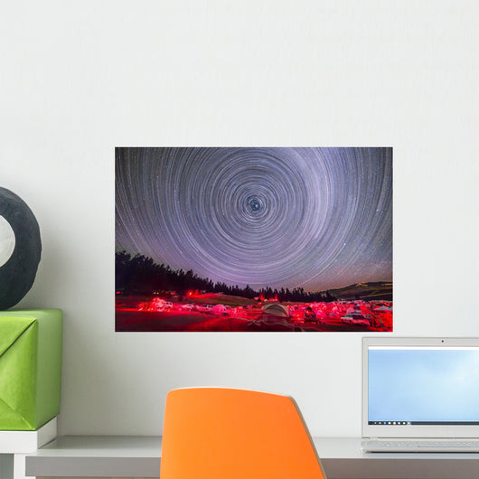Circumpolar Star Trails above Wall Decal