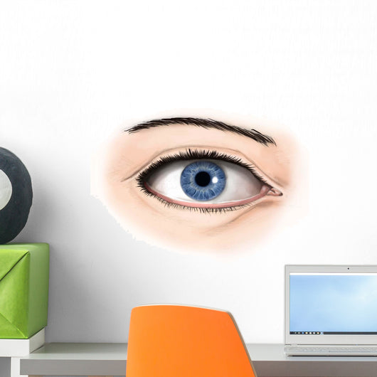 External Anatomy Human Eye Wall Decal Design 2