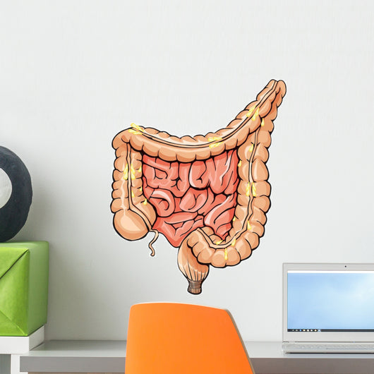 General Colon Anatomy Wall Decal Design 2