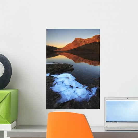 Ice Flakes Shadows Skittendalen Wall Decal