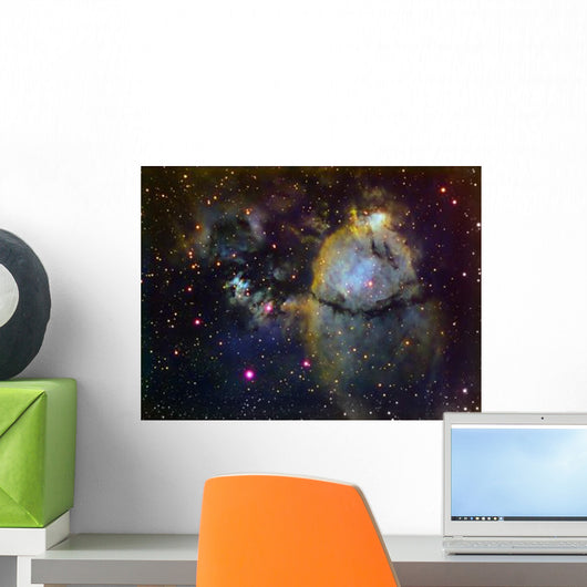 Ngc 896 Part Heart Wall Decal